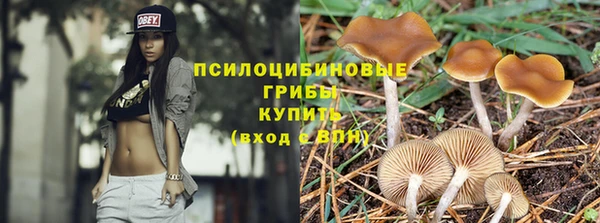 индика Заводоуковск