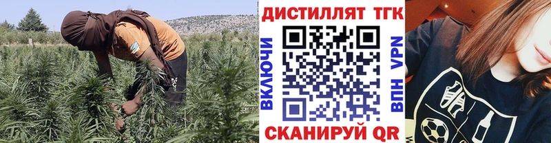 ТГК концентрат  Купить закладки  Междуреченск 